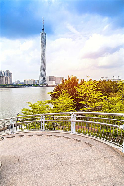 了解深圳95场98场的多重选择，畅游深圳的精彩景点