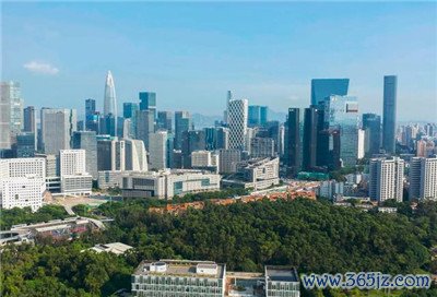 引言：打造深圳高端经纪人专业服务体系